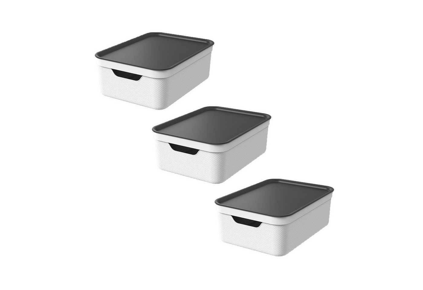 ROTHO Aufbewahrungsbox 3er Set Aufbewahrungsbox mit Deckel 10L JIVE ROTHO Aufbewahrungsbox 3er Set Aufbewahrungsbox mit Deckel 10L JIVE von ROTHO