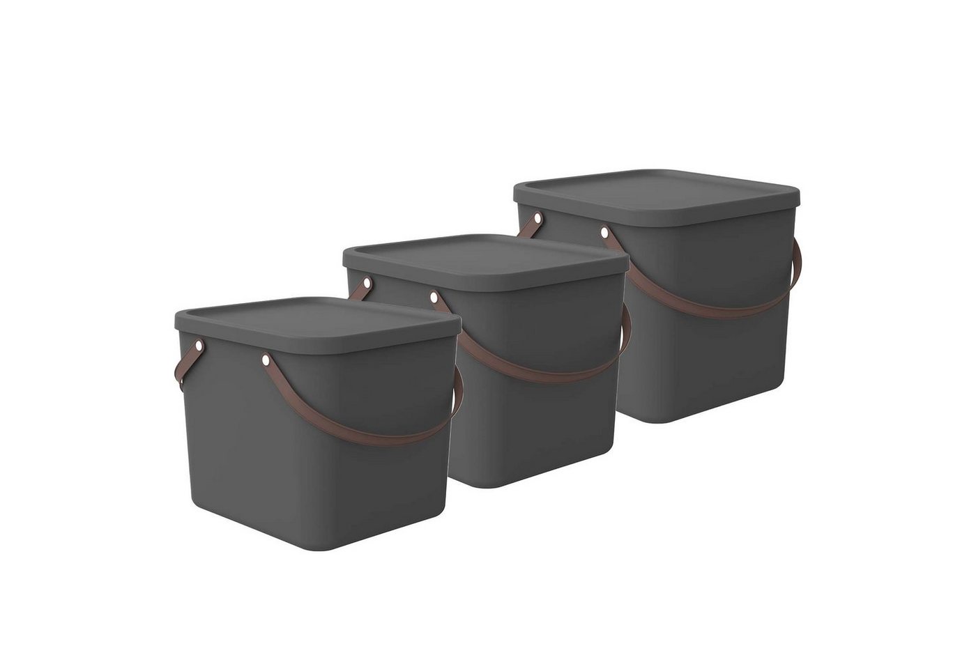 ROTHO Aufbewahrungsbox Albula 3er-Set Aufbewahrungsbox 40l mit Deckel, Kunststoff (Aufbewahrungssystem, 3er-Set) von ROTHO