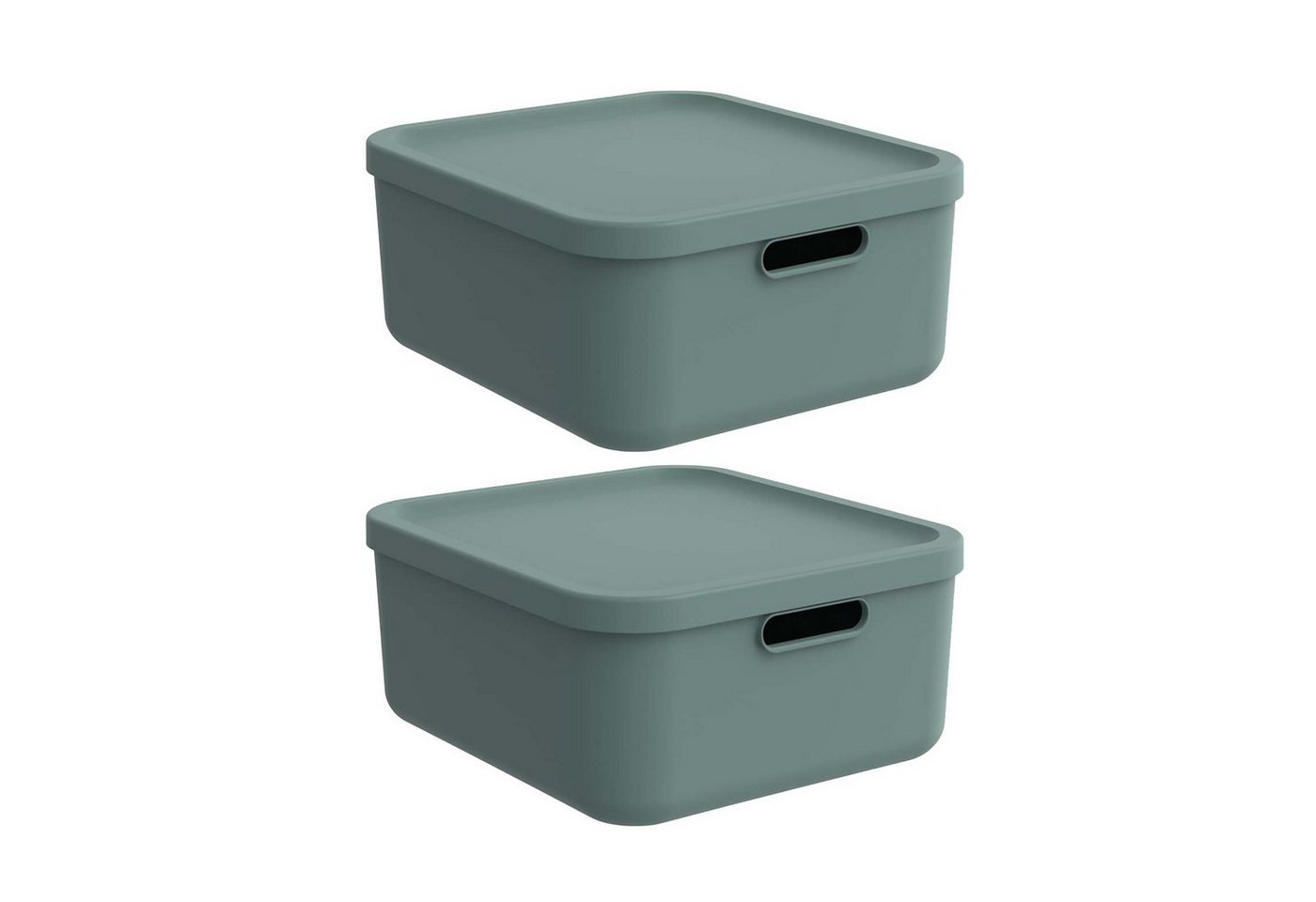 ROTHO Aufbewahrungsbox Albula Light 2er-Set Aufbewahrungskiste 20l (Aufbewahrungsboxenset, 2er-Set) von ROTHO