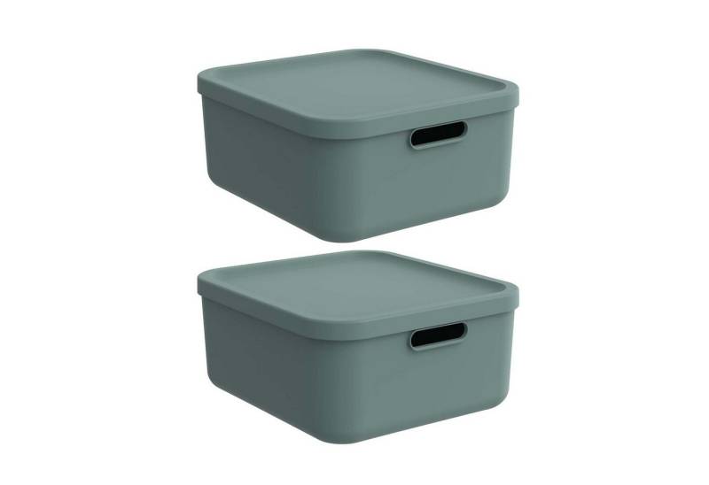 ROTHO Aufbewahrungsbox Albula Light 2er-Set Aufbewahrungskiste 20l (Aufbewahrungsboxenset, 2er-Set) von ROTHO