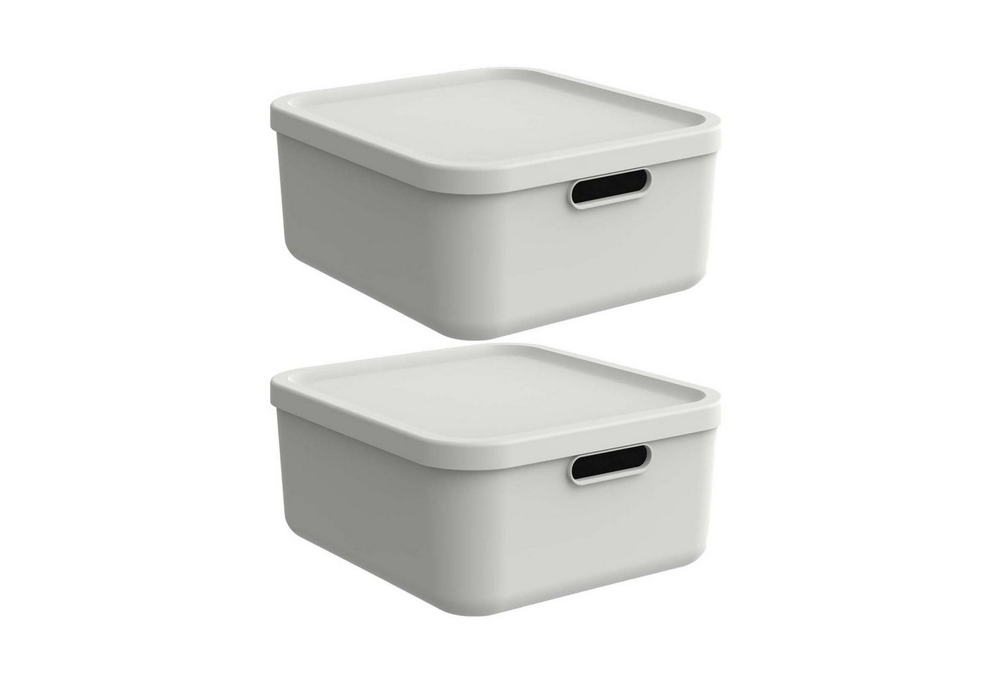 ROTHO Aufbewahrungsbox Albula Light 2er-Set Aufbewahrungskiste 20l (Aufbewahrungsboxenset, 2er-Set) von ROTHO
