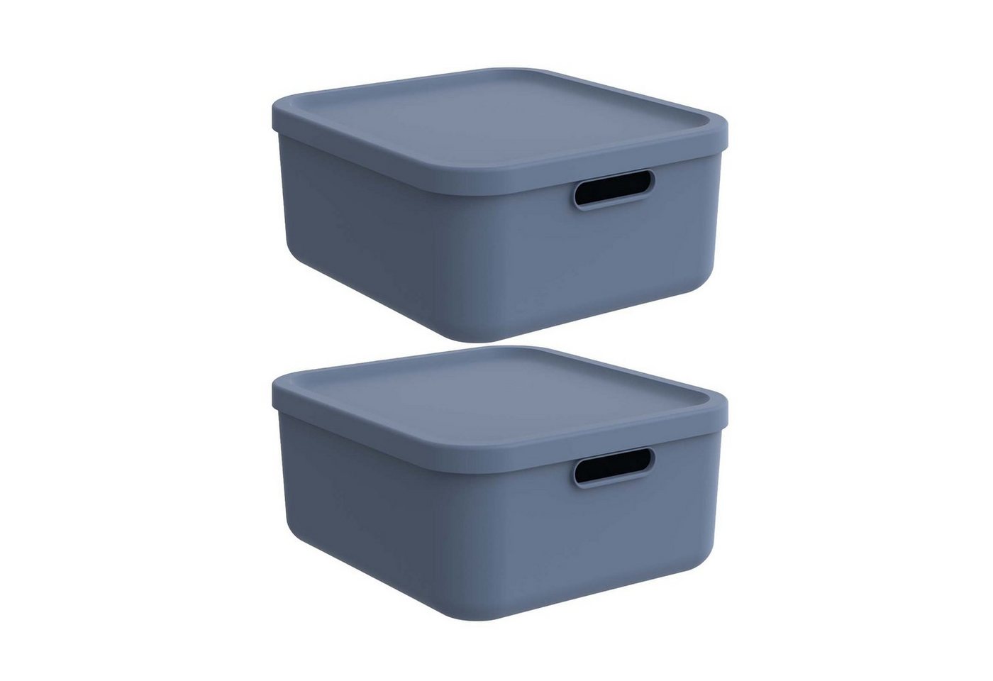 ROTHO Aufbewahrungsbox Albula Light 2er-Set Aufbewahrungskiste 20l (Aufbewahrungsboxenset, 2er-Set) von ROTHO