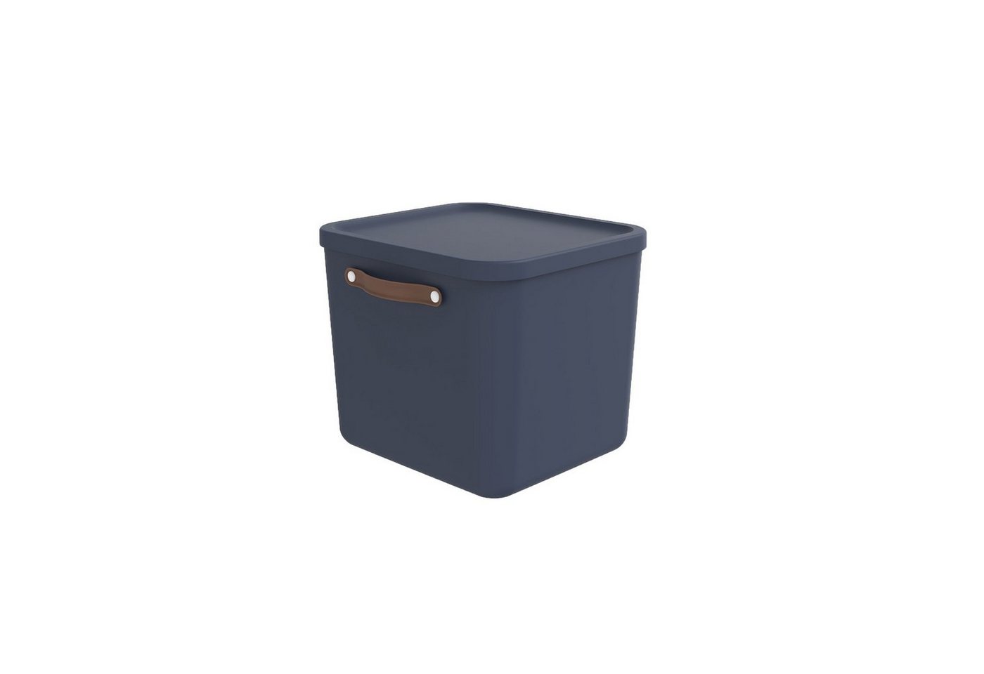 ROTHO Aufbewahrungsbox Aufbewahrungsbox mit Deckel 40 l MALOJA ROTHO Aufbewahrungsbox Aufbewahrungsbox mit Deckel 40 l MALOJA von ROTHO