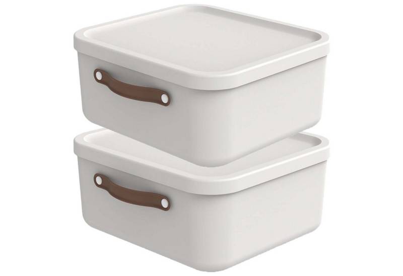 ROTHO Aufbewahrungsbox Aufbewahrungsbox mit Deckel Maloja 20l (Aufbewahrungsset, 2er-Set) von ROTHO
