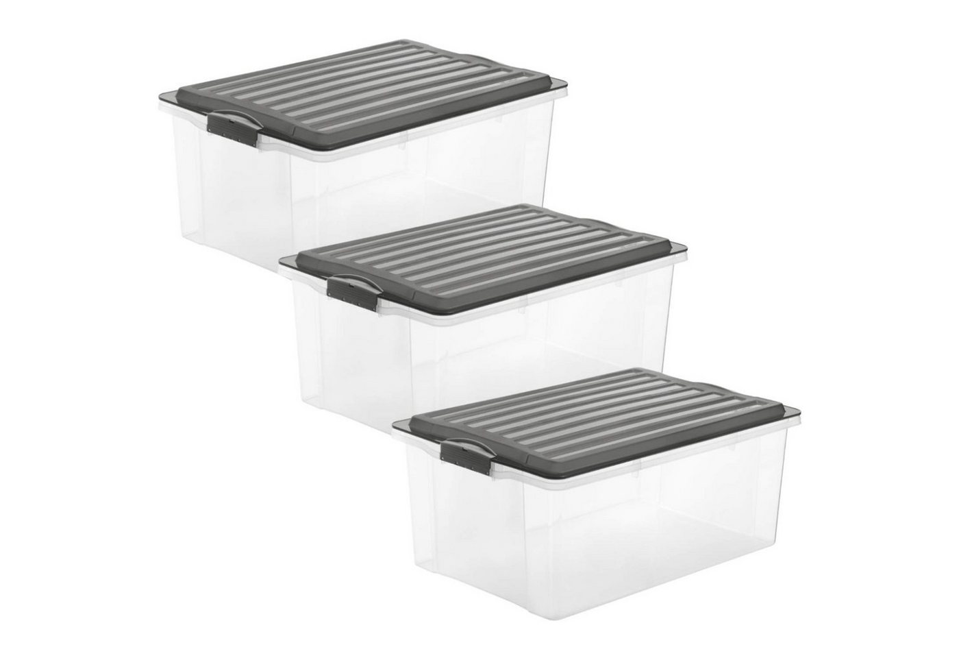 ROTHO Aufbewahrungsbox Compact 3er-Set Aufbewahrungsbox 38l mit Deckel, Kunststoff (PP) BPA-frei (Aufbewahrungsset, 3er-Set) von ROTHO