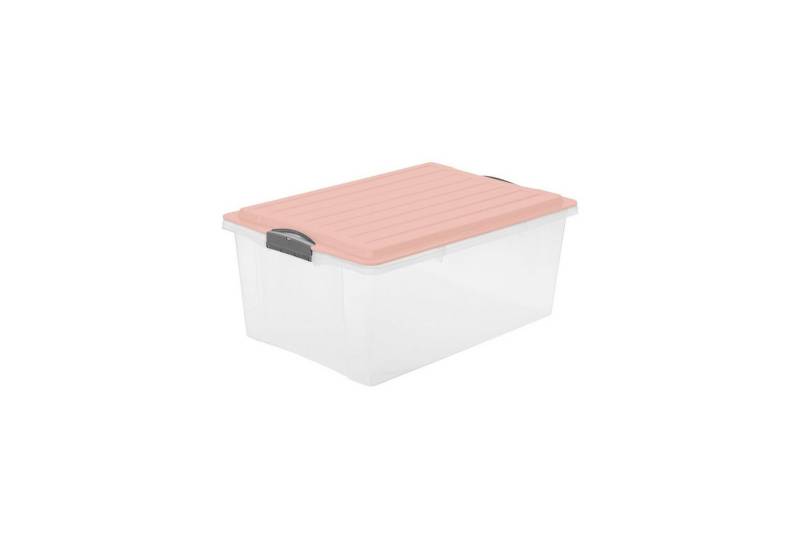 ROTHO Aufbewahrungsbox Compact Aufbewahrungsbox 38l mit Deckel, Kunststoff (PP) BPA-frei von ROTHO