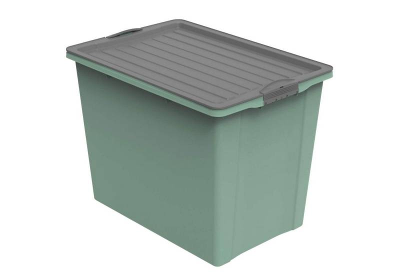ROTHO Aufbewahrungsbox Compact Aufbewahrungsbox 70l mit Deckel von ROTHO