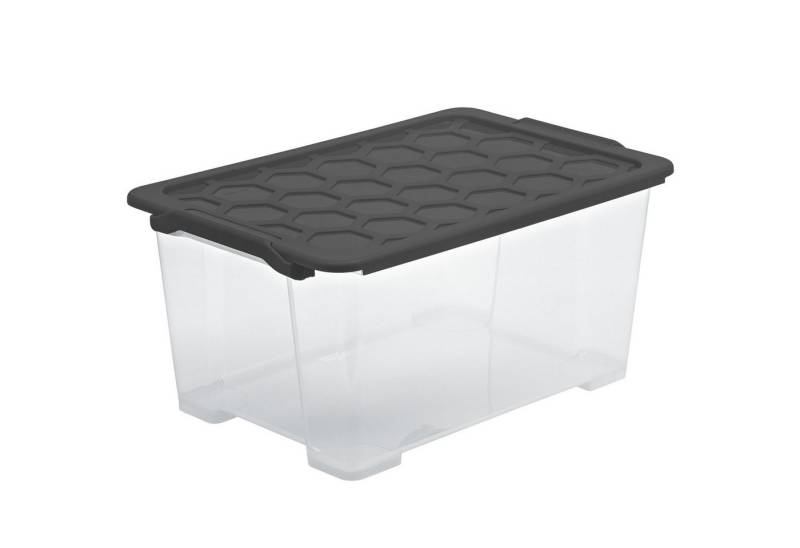 ROTHO Aufbewahrungsbox Evo Safe Keeping Evo safe keeping Aufbewahrungsbox 44l mit Deckel von ROTHO