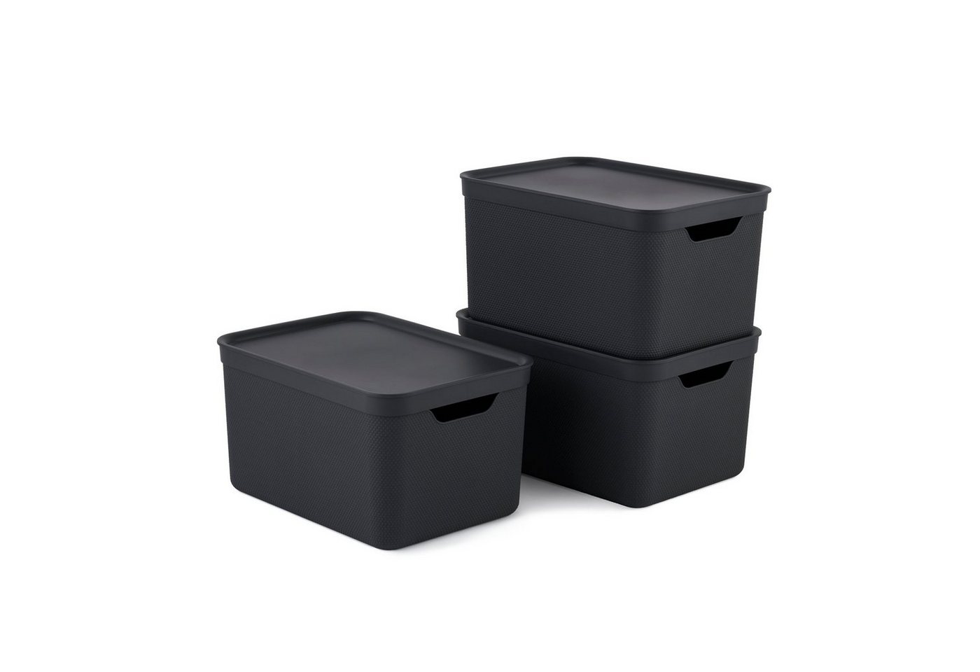 ROTHO Aufbewahrungsbox 3er- Set Aufbewahrungskorb 16l mit Deckel (Aufbewahrungsboxen, 3er-Set) von ROTHO