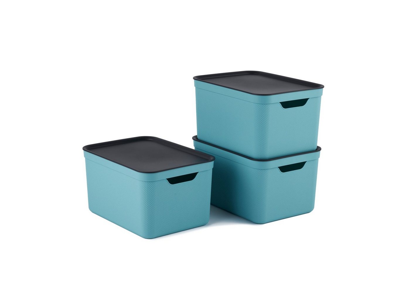 ROTHO Aufbewahrungsbox 3er- Set Aufbewahrungskorb 16l mit Deckel (Aufbewahrungsboxen, 3er-Set) von ROTHO