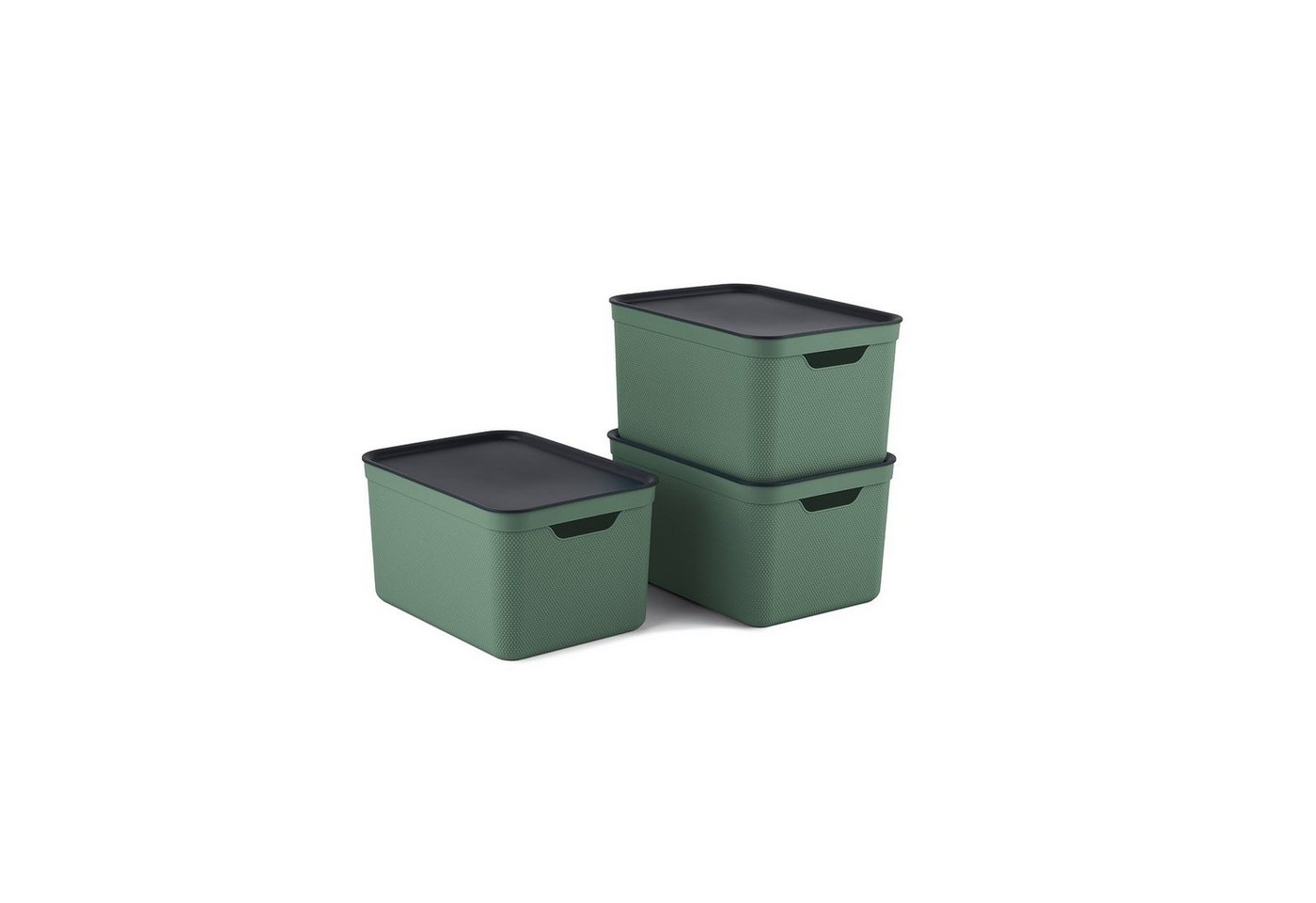 ROTHO Aufbewahrungsbox 3er- Set Aufbewahrungskorb 16l mit Deckel (Aufbewahrungsboxen, 3er-Set) von ROTHO