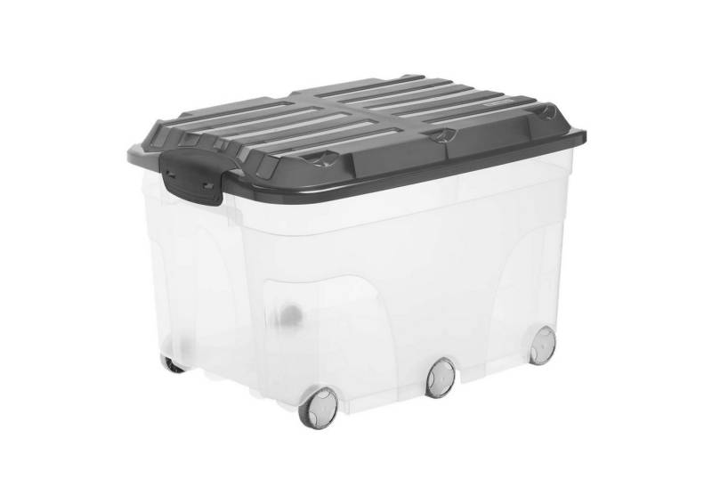ROTHO Aufbewahrungsbox ROTHO Aufbewahrungsbox Roller 6 ROTHO Aufbewahrungsbox ROTHO Aufbewahrungsbox Roller 6 von ROTHO