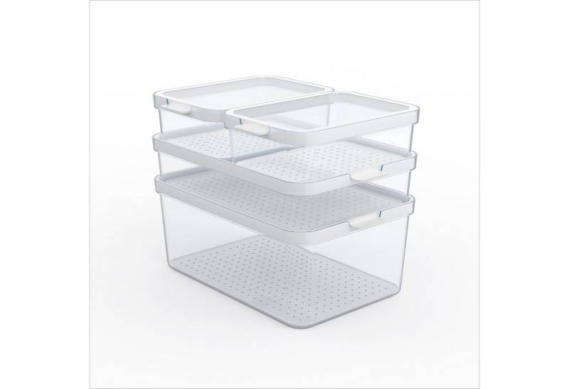 ROTHO Aufbewahrungssystem CAUMA Kühlschrank Organizer Set 4-tlg, stapelbare Vorratsdosen, Kunststoff, (Mehrteiliges Set, 4 Vorratsdosen in verschiedenen Größen), für ideale Kühlschrankorganisation von ROTHO