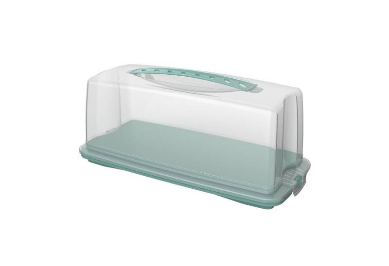 ROTHO Kuchentransportbox von ROTHO