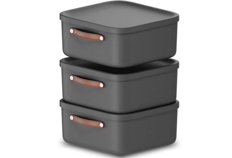 ROTHO Stapelbox 3er-Set Kiste mit Deckel Maloja 20l (Aufbewahrungsset, 3er-Set) von ROTHO