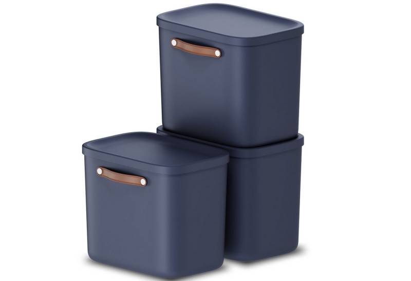 ROTHO Stapelbox 3er-Set Kiste mit Deckel Maloja 25l (Aufbewahrungsset, 3er-Set) von ROTHO