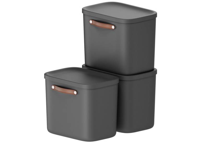 ROTHO Stapelbox 3er-Set Kiste mit Deckel Maloja 25l (Aufbewahrungsset, 3er-Set) von ROTHO