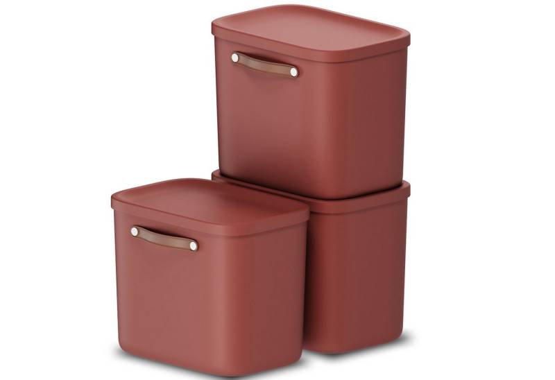 ROTHO Stapelbox 3er-Set Kiste mit Deckel Maloja 25l (Aufbewahrungsset, 3er-Set) von ROTHO