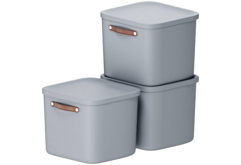 ROTHO Stapelbox 3er-Set Kiste mit Deckel Maloja 40l (Aufbewahrungsset, 3er-Set) von ROTHO