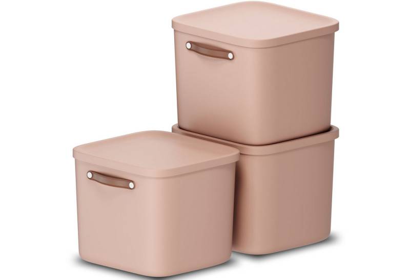 ROTHO Stapelbox 3er-Set Kiste mit Deckel Maloja 40l (Aufbewahrungsset, 3er-Set) von ROTHO