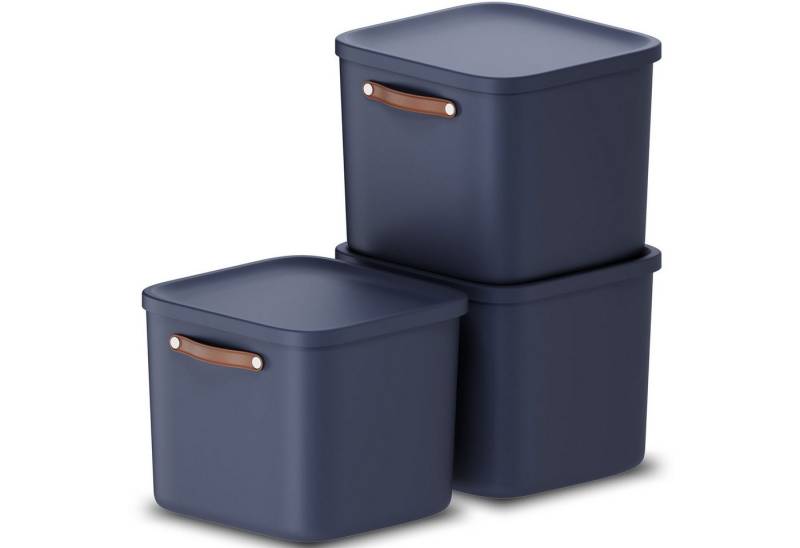 ROTHO Stapelbox 3er-Set Kiste mit Deckel Maloja 40l (Aufbewahrungsset, 3er-Set) von ROTHO