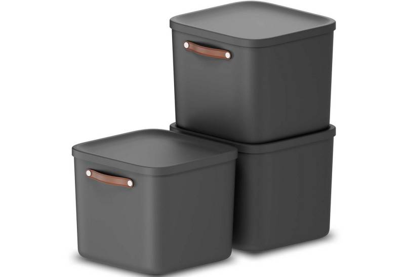 ROTHO Stapelbox 3er-Set Kiste mit Deckel Maloja 40l (Aufbewahrungsset, 3er-Set) von ROTHO