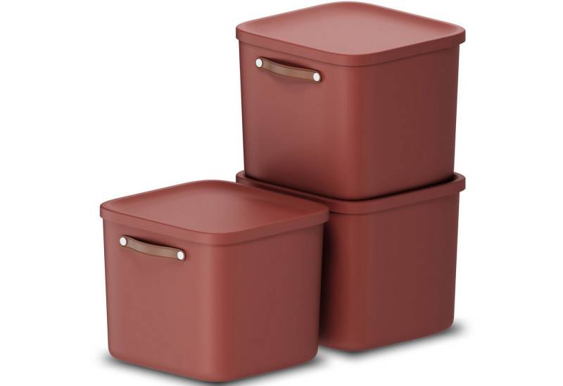 ROTHO Stapelbox 3er-Set Kiste mit Deckel Maloja 40l (Aufbewahrungsset, 3er-Set) von ROTHO