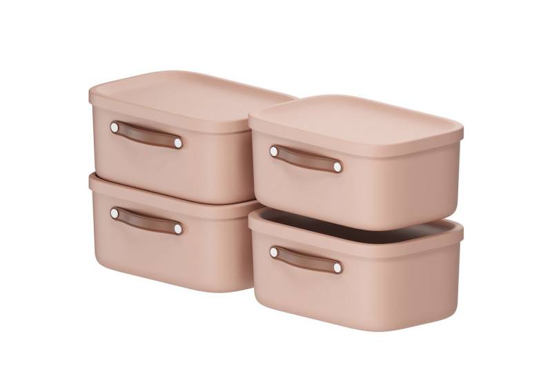 ROTHO Stapelbox 4er-Set Kiste mit Deckel Maloja 12l (Aufbewahrungsset, 3er-Set) von ROTHO