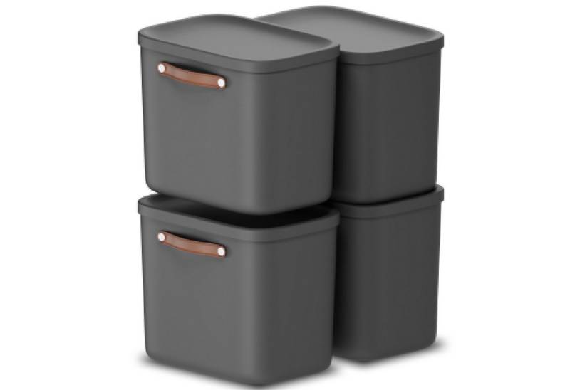 ROTHO Stapelbox 4er-Set Kiste mit Deckel Maloja 25l (Aufbewahrungsset, 4er-Set) von ROTHO