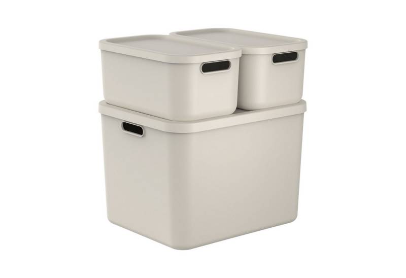 ROTHO Stapelbox Albula Light Set 3tlg. 2x 12l und 55l Aufbewahrungsboxen mit Deckel (3-teilig, Boxen-Set), Recycelt, modular, mit Tragegriffen von ROTHO