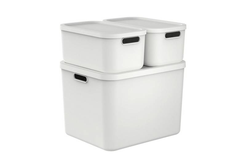 ROTHO Stapelbox Albula Light Set 3tlg. 2x 12l und 55l Aufbewahrungsboxen mit Deckel (3-teilig, Boxen-Set), Recycelt, modular, mit Tragegriffen von ROTHO