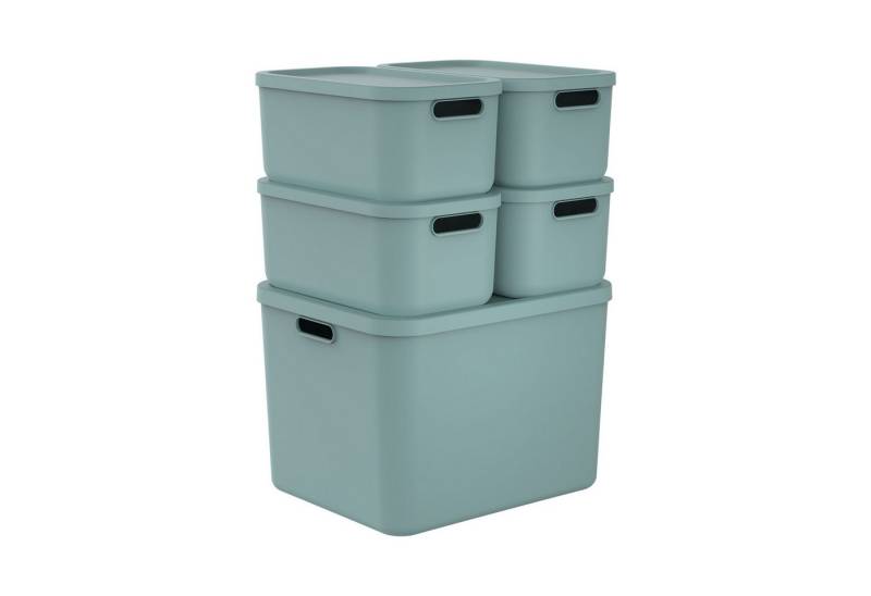 ROTHO Stapelbox Albula Light Set 5tlg. 4x 12l und 55l Aufbewahrungsboxen mit Deckel (5-teilig, Boxen-Set), Kisten stapelbar und mit Grifföffnungen von ROTHO