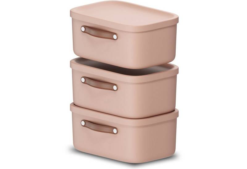 ROTHO Stapelbox 3er-Set Kiste mit Deckel Maloja 12l (Aufbewahrungsset, 3er-Set) ROTHO Stapelbox 3er-Set Kiste mit Deckel Maloja 12l (Aufbewahrungsset, 3er-Set) von ROTHO