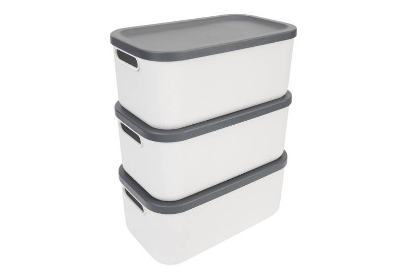 ROTHO Stapelbox von ROTHO