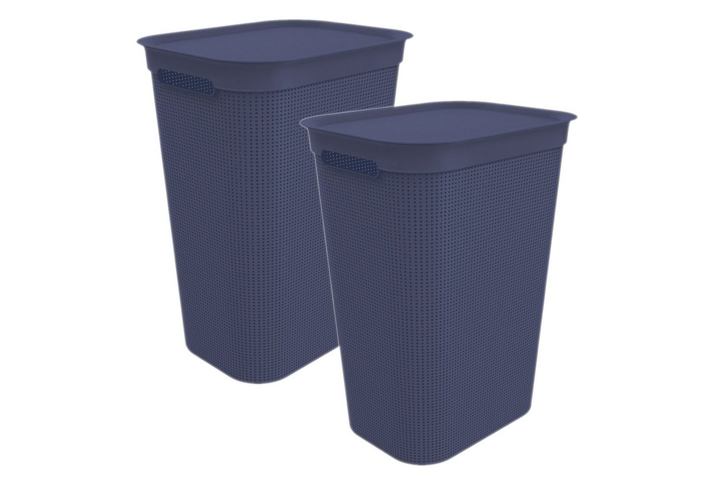 ROTHO Wäschekorb Brisen 2er-Set Wäschesammler 50l mit Deckel und 2 Griffen, Kunststoff (PP) BPA-frei von ROTHO