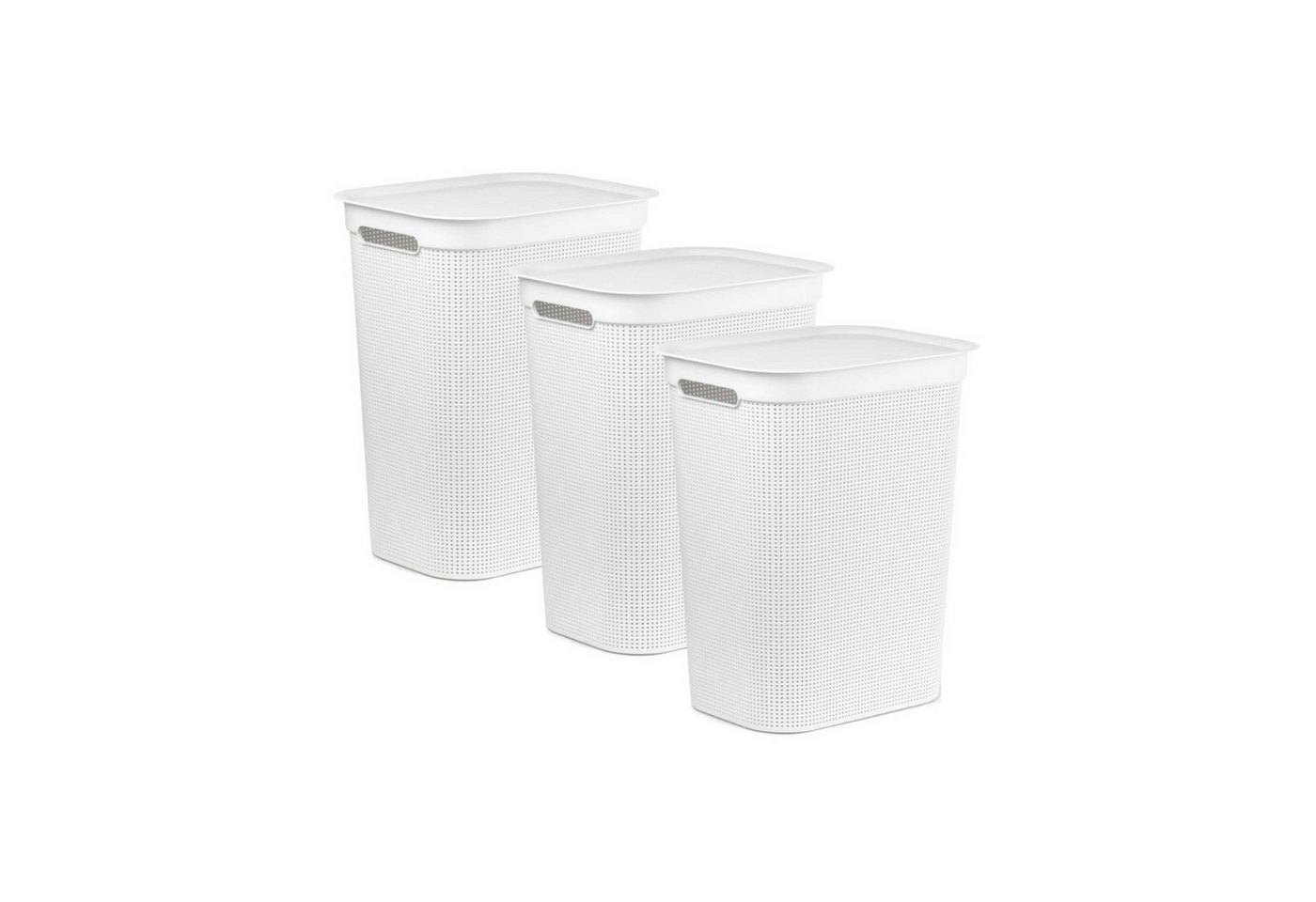 ROTHO Wäschekorb Wäschesammler Brisen 50l mit Deckel (3 St), Luftzirkulation innerhalb der Wäschebox von ROTHO