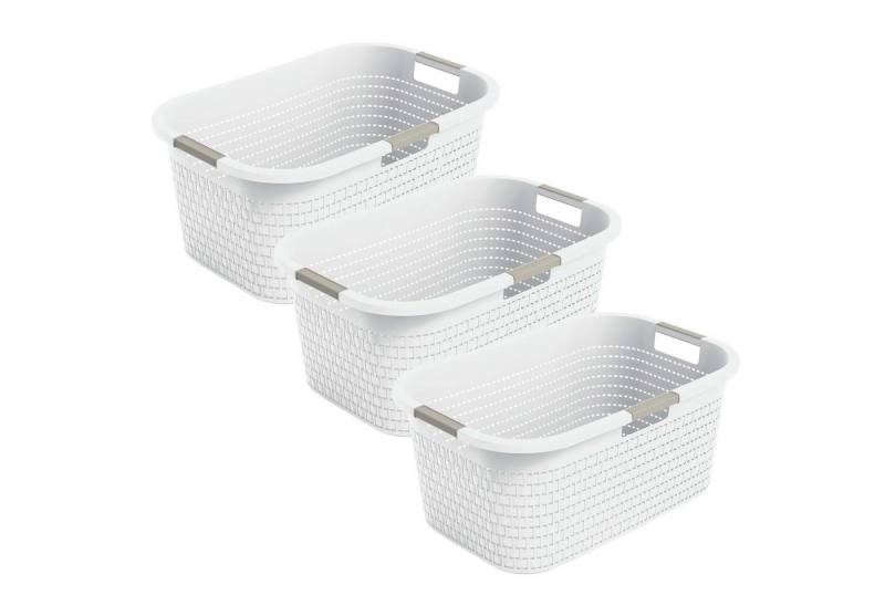 ROTHO Wäschekorb 3er-Set Wäschebox 40L COUNTRY, ergonomische Wäschebehälter mit Griffe ROTHO Wäschekorb 3er-Set Wäschebox 40L COUNTRY, ergonomische Wäschebehälter mit Griffe von ROTHO
