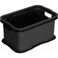 Rotho - Aufbewahrungsbox Agilo A3 55 l schwarz 59 x 39 x 31 cm (l x b x h) Aufbewahrungsbox von ROTHO