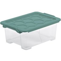 Aufbewahrungsbox evo Safe inkl. Deckel 11 l Mistletoe grün Boxen - Rotho von ROTHO