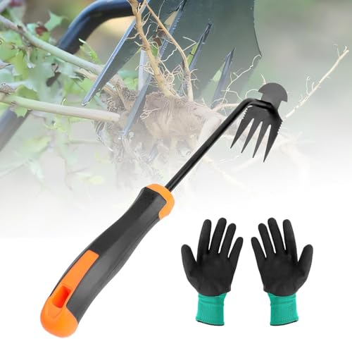 ROTKUSZ Gartenarbeit Hand Unkrautstecher, Unkraut Entferner Gerät Edelstahl, Unkrautjäter mit Langem Stiel, Fugenkratzer Mit Stiel, Gartenwerkzeug Unkrautentferner von ROTKUSZ