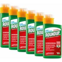Roundup Express Konzentrat - 6x 400 ml von ROUNDUP