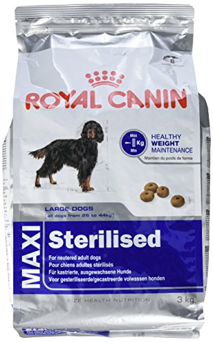 ROYAL CANIN (ROYBJ) Hundefutter Maxi Sterilised, 1er Pack (1 x 3 kg) von ROYAL CANIN