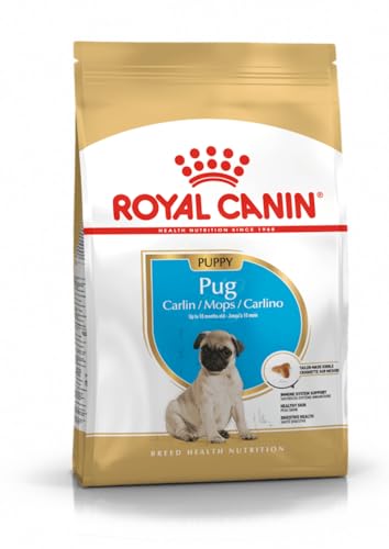 ROYAL CANIN Pug Puppy | 1,5 kg | Trockenfutter für Hunde | Speziell für Mops-Welpen bis zum 10. Monat | Zur Unterstützung der körpereigenen Abwehrkräfte | Exklusive Krokette von Royal Canin