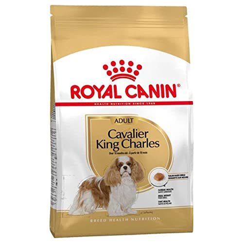 ROYAL CANIN Cavalier King Charles Adult - 3 kg von ROYAL CANIN