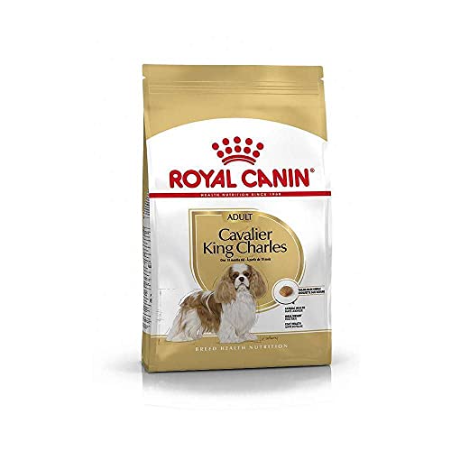 ROYAL CANIN Cavalier King Charles Adult - 3 kg von ROYAL CANIN