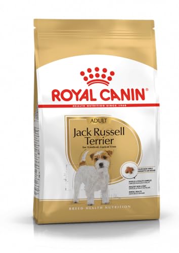 ROYAL CANIN Jack Russell Terrier Adult | 3 kg | Trockenfutter speziell für ausgewachsene und ältere Jack Russell Terrier - ab dem 10. Monat | Zur Erhaltung der Muskelmasse ROYAL CANIN Jack Russell Terrier Adult | 3 kg | Trockenfutter speziell für ausgewachsene und ältere Jack Russell Terrier - ab dem 10. Monat | Zur Erhaltung der Muskelmasse von Royal Canin