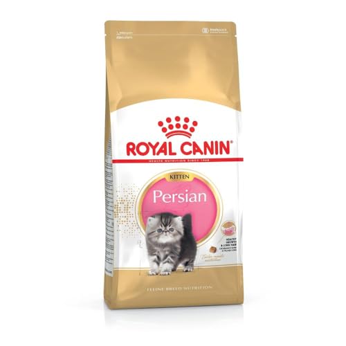 Royal Canin Katzenfutter Feline Kitten Persian 32, 4 kg, 1er Pack (1 x 4 kg), 660 g (12er Pack) von Royal Canin