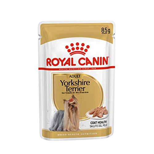 Royal Canin Yorkshire Terrier Adult | 12 x 85 g | Comida húmeda para perros adultos en bolsitas frescas | A partir del 10º mes de vida | Para apoyar el pelaje y la calidad de las heces von Royal Canin