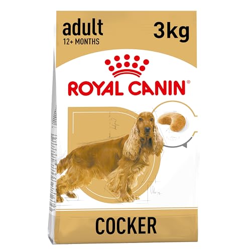 Royal Canin Cocker Adult | 3 kg | Alleinfuttermittel für ausgewachsene Cocker Spaniels | Zur Unterstützung des allgemeinen Wohlbefindens | Mit Borretschöl und Omega-3 von Royal Canin
