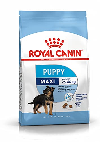 Royal Canin 35230 Maxi Junior 4 kg- Hundefutter Royal Canin 35230 Maxi Junior 4 kg- Hundefutter von ROYAL CANIN
